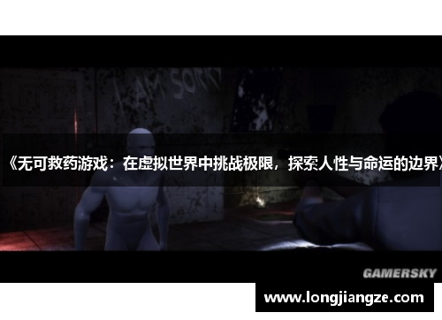 《无可救药游戏：在虚拟世界中挑战极限，探索人性与命运的边界》